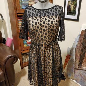 AUW size 14black lace party/event dress